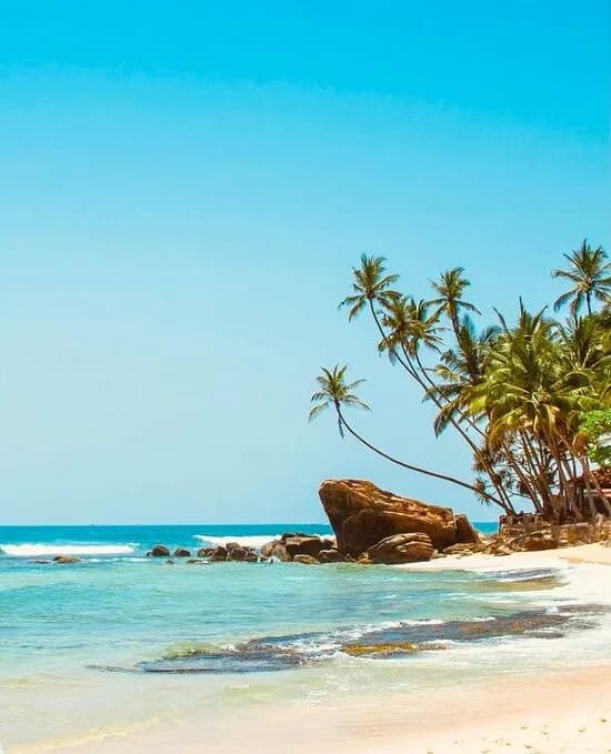 Beach Tours