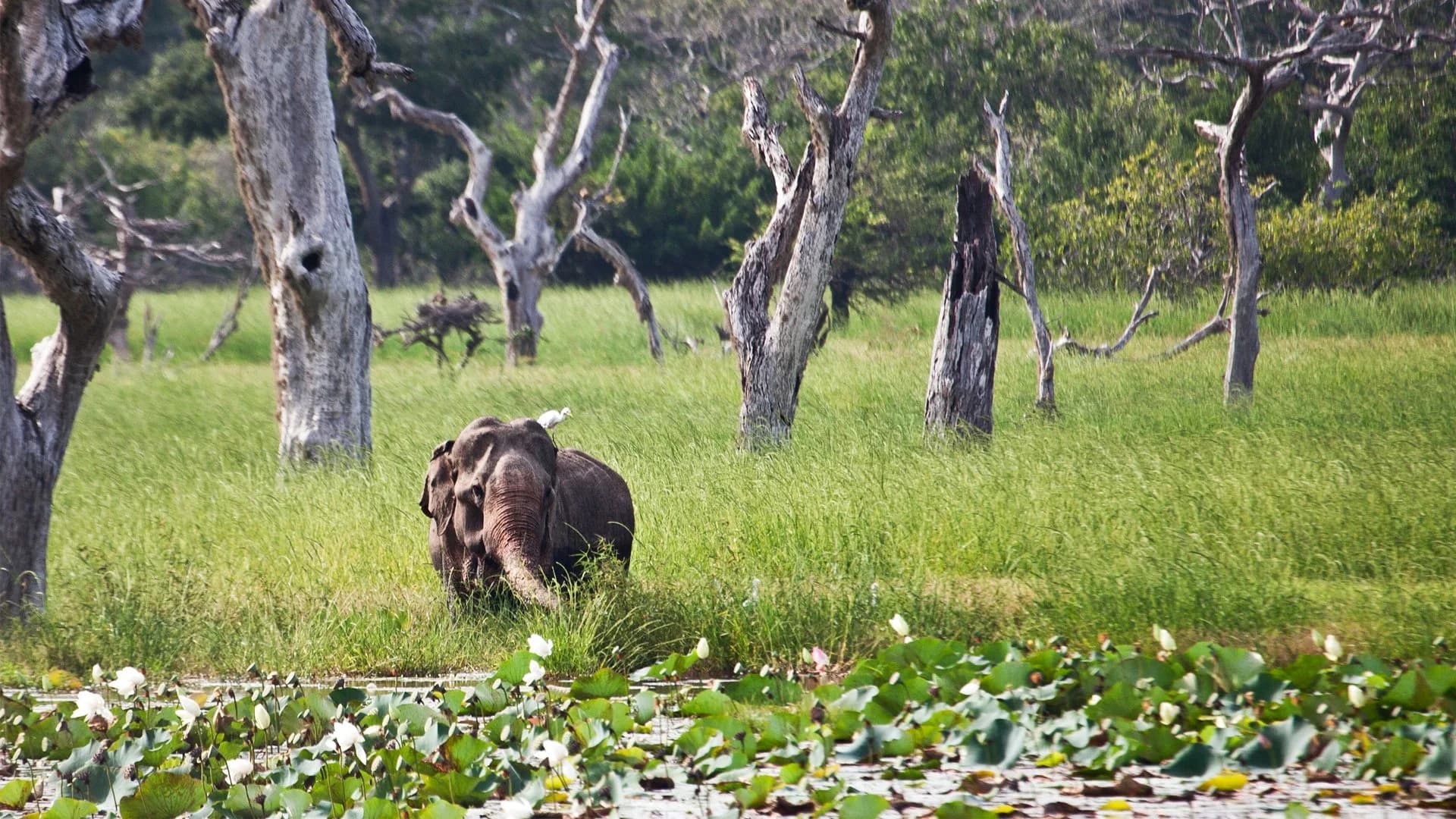 12 Days Of Unforgettable Exploration gallery 11