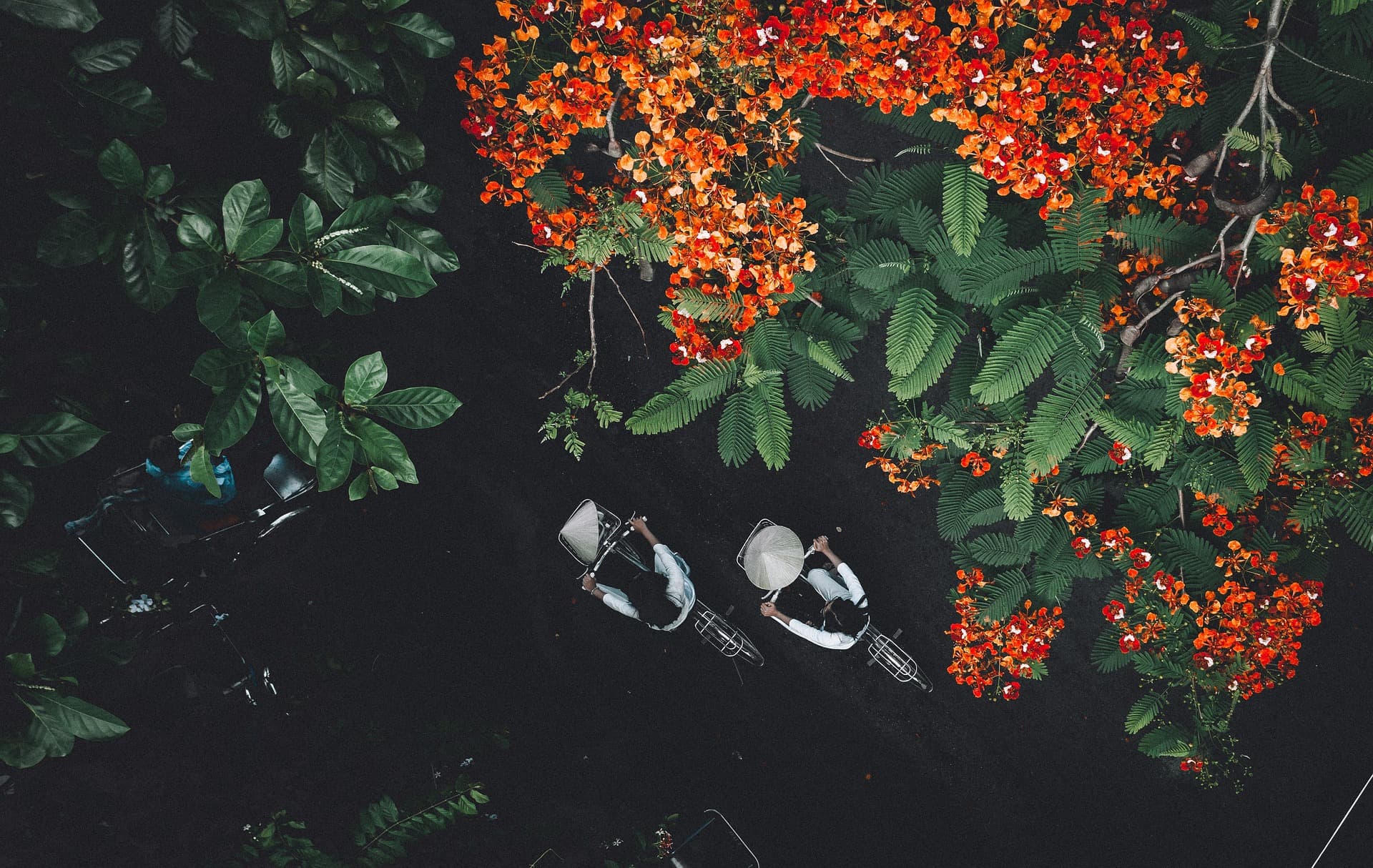 Vibrant Saigon Experience of 4 Days gallery 7
