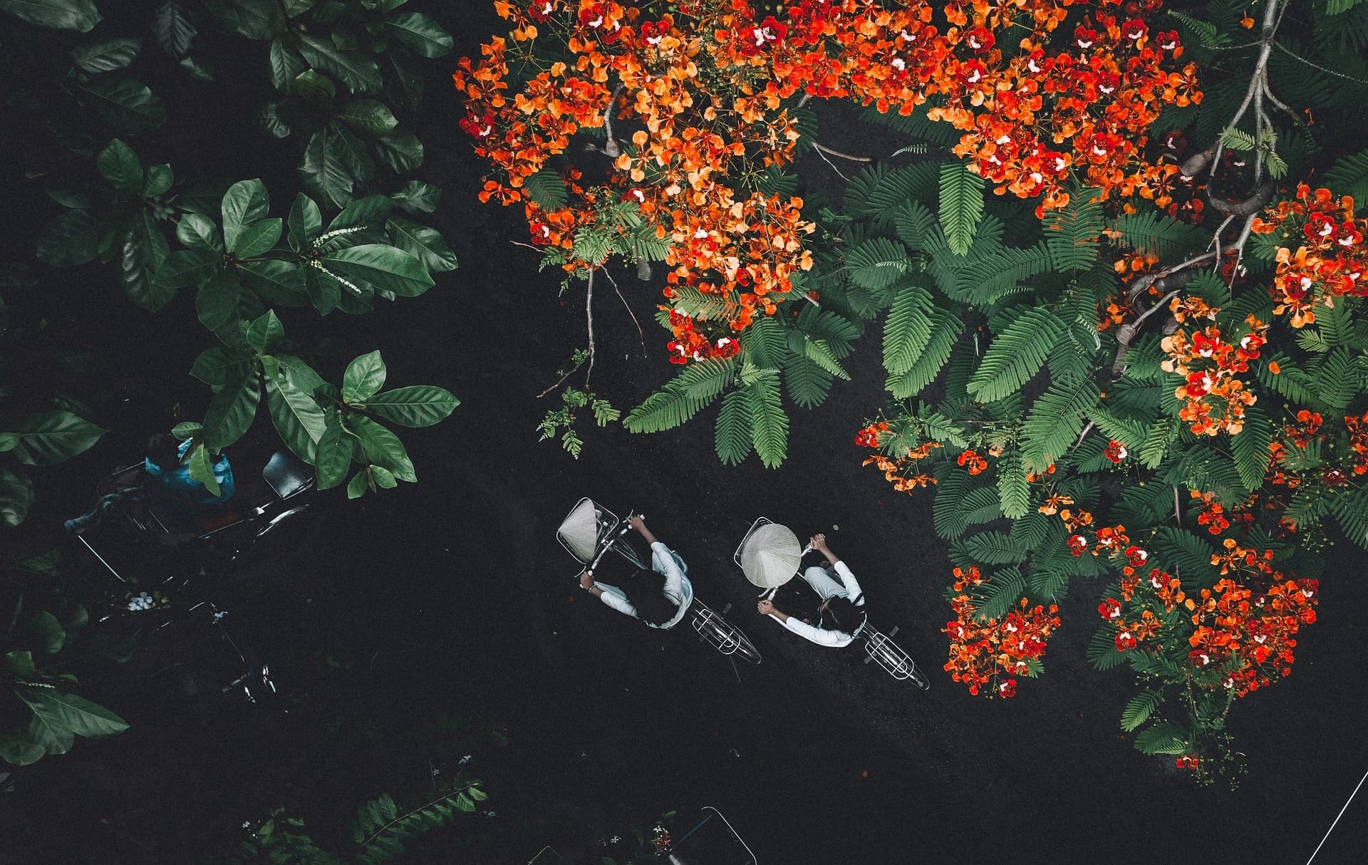 6 Days of Northern & Central Vietnam gallery 7
