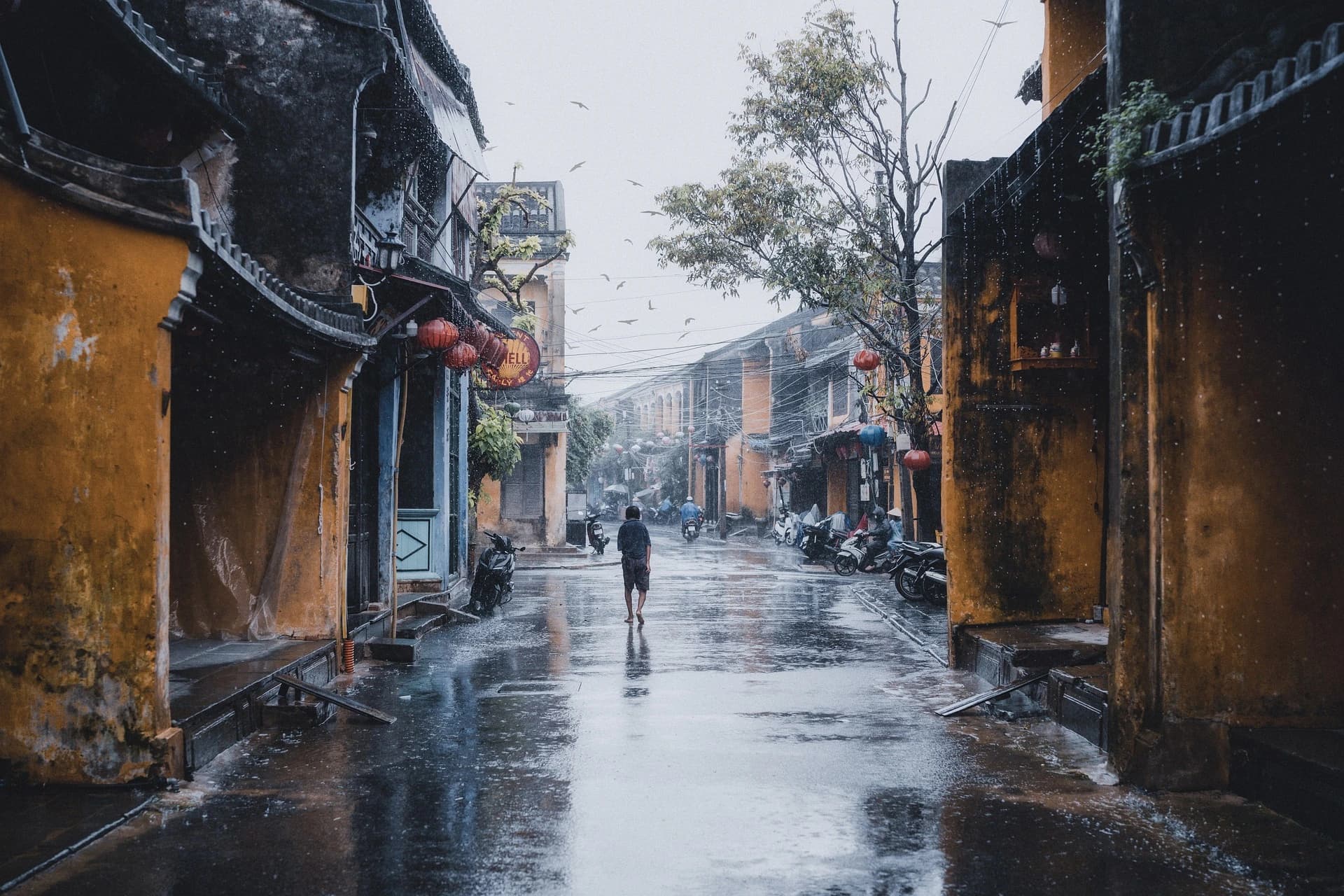 8 Days Vietnam Tour Package gallery 3