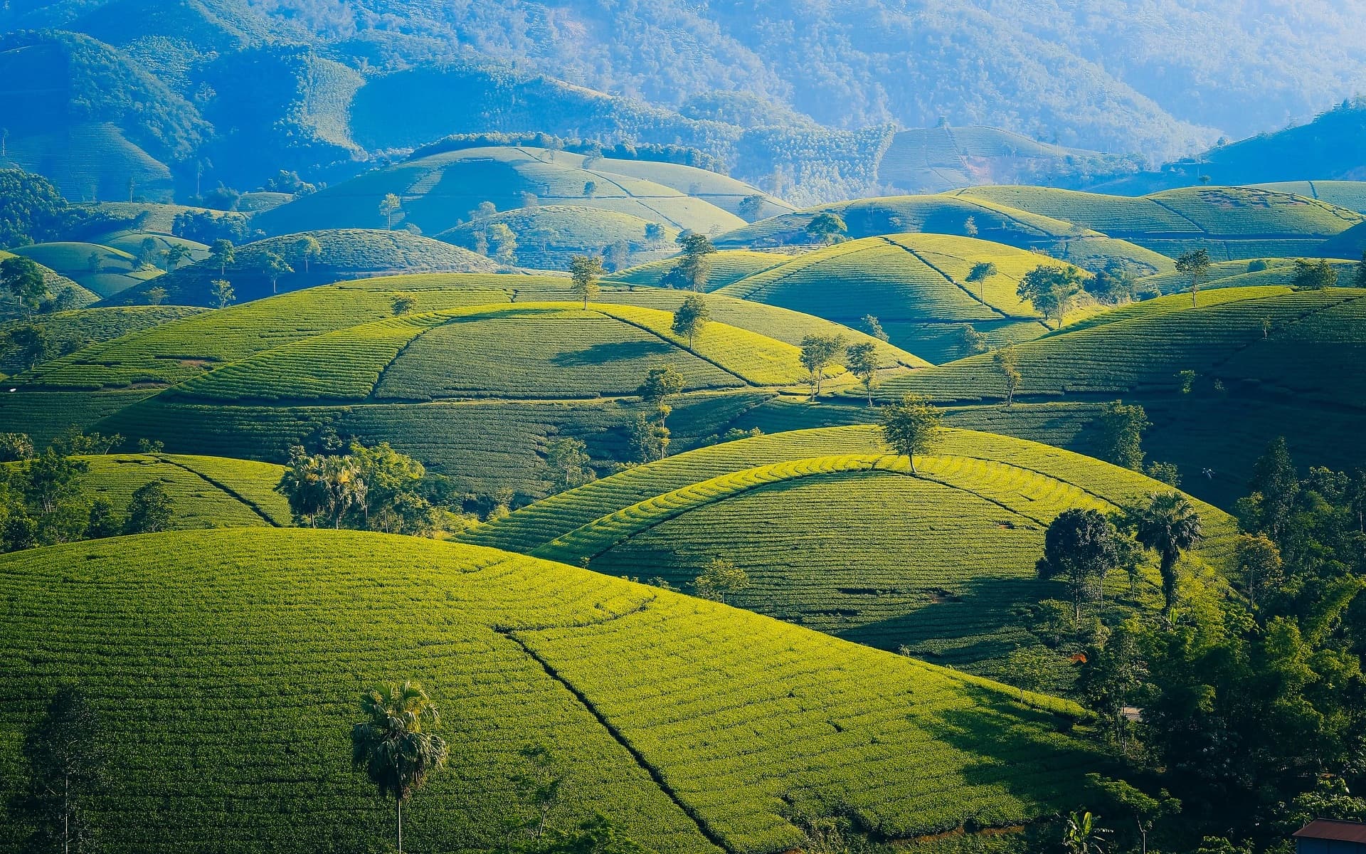 8 Days Vietnam Tour Package gallery 4