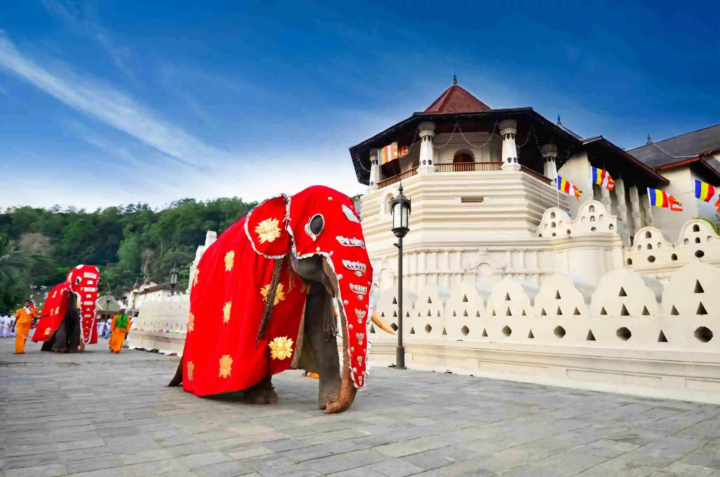 Explore Nothern Sri Lanka in 10 Days gallery 10