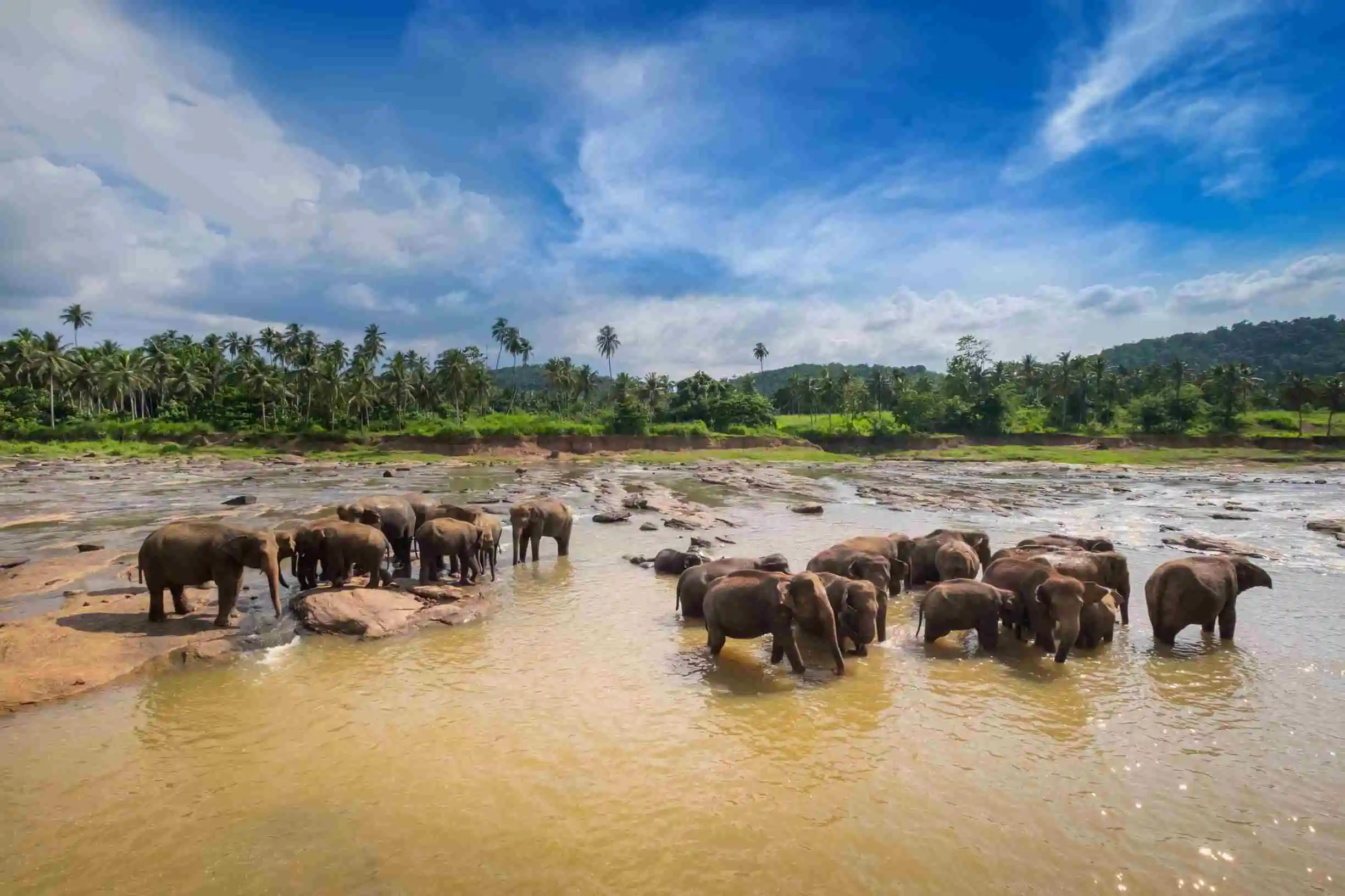 Mesmerizing Sri Lanka In 7 Days gallery 3