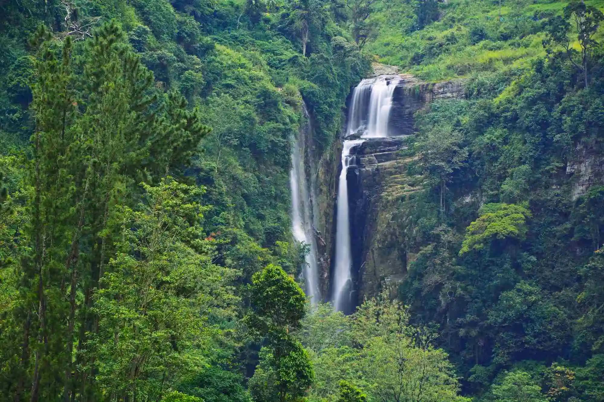Mesmerizing Sri Lanka In 7 Days gallery 7