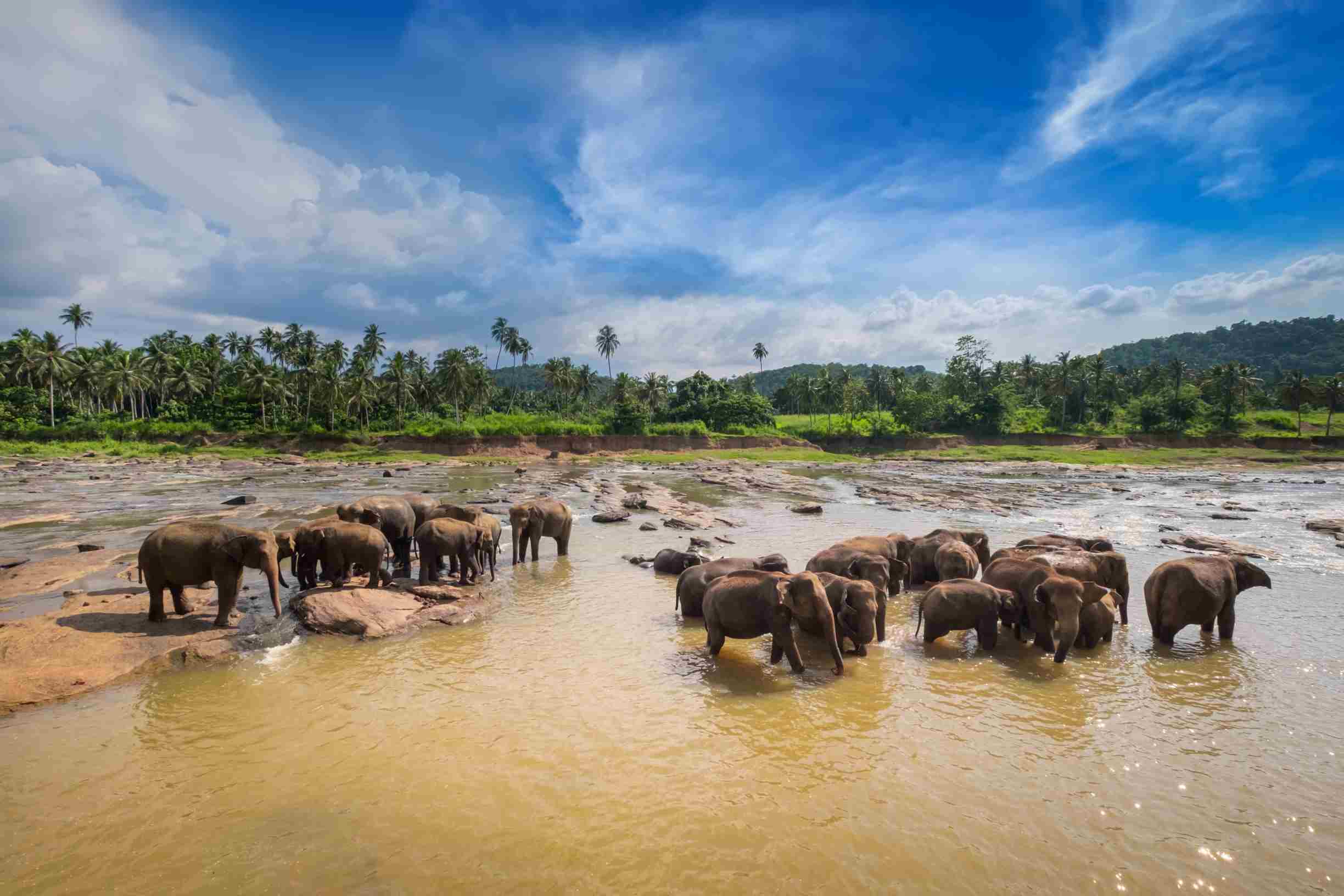Unveil Beautiful Sri Lanka in 3 Days gallery 3